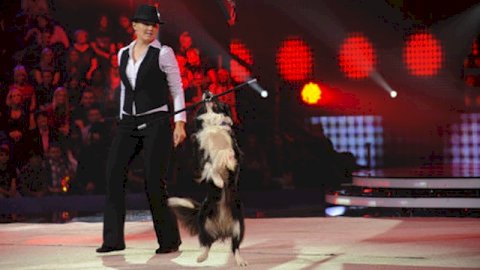 [alena smolikova dog dancing]009